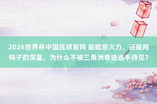 2026世界杯中国压球官网 能眩惑火力，还能用钩子的深蓝，为什么不被三角洲奇迹选手待见？