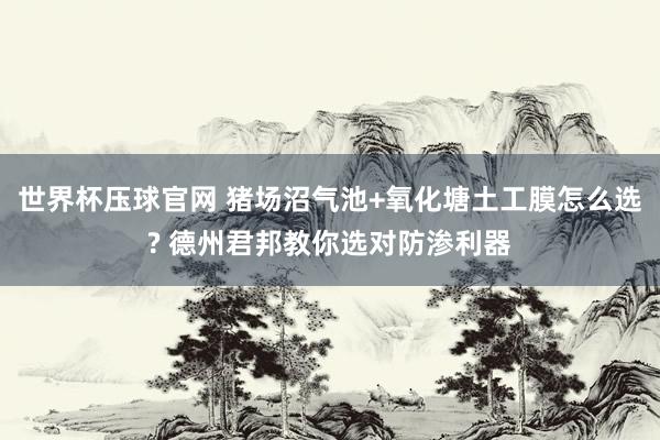 世界杯压球官网 猪场沼气池+氧化塘土工膜怎么选? 德州君邦教你选对防渗利器