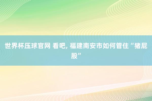 世界杯压球官网 看吧， 福建南安市如何管住“猪屁股”