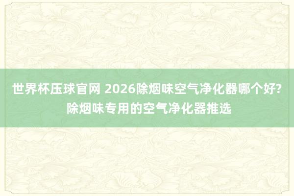 世界杯压球官网 2026除烟味空气净化器哪个好? 除烟味专用的空气净化器推选