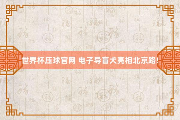 世界杯压球官网 电子导盲犬亮相北京路!