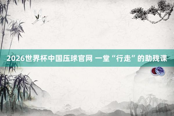 2026世界杯中国压球官网 一堂“行走”的助残课