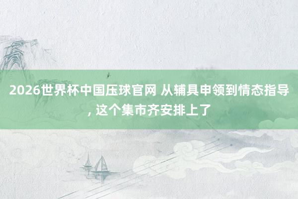 2026世界杯中国压球官网 从辅具申领到情态指导， 这个集市齐安排上了