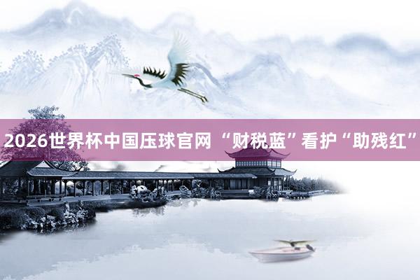 2026世界杯中国压球官网 “财税蓝”看护“助残红”