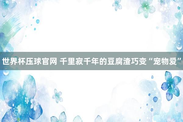 世界杯压球官网 千里寂千年的豆腐渣巧变“宠物爱”