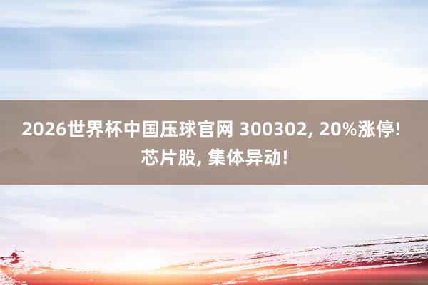2026世界杯中国压球官网 300302， 20%涨停! 芯片股， 集体异动!