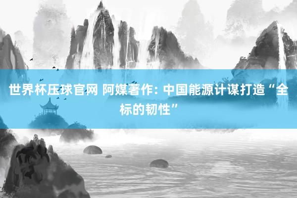 世界杯压球官网 阿媒著作: 中国能源计谋打造“全标的韧性”