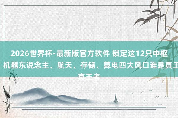 2026世界杯-最新版官方软件 锁定这12只中枢股! 机器东说念主、航天、存储、算电四大风口谁是真王者