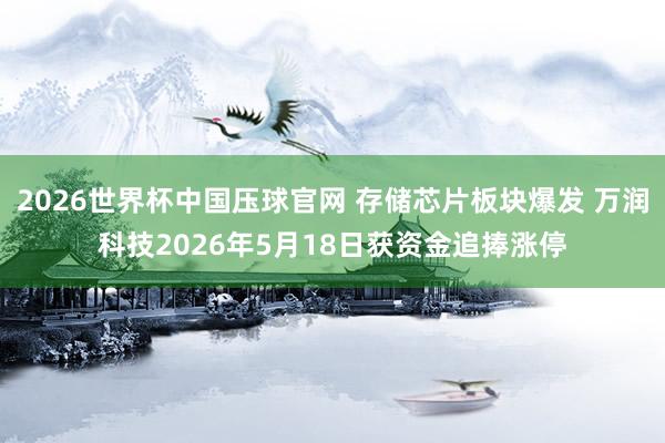 2026世界杯中国压球官网 存储芯片板块爆发 万润科技2026年5月18日获资金追捧涨停