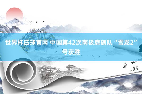 世界杯压球官网 中国第42次南极磨砺队“雪龙2”号获胜