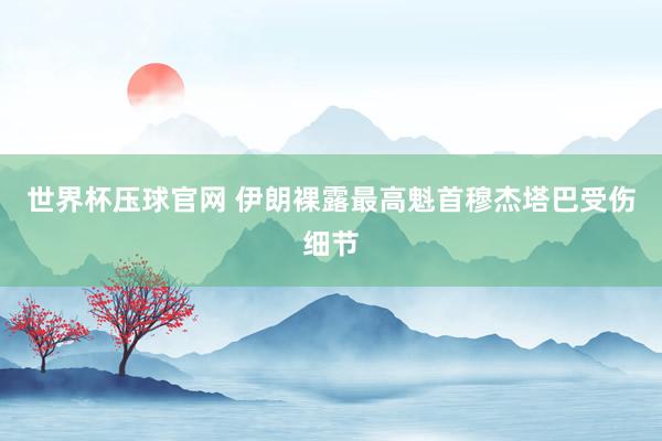 世界杯压球官网 伊朗裸露最高魁首穆杰塔巴受伤细节