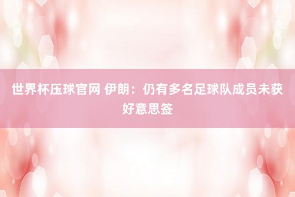 世界杯压球官网 伊朗：仍有多名足球队成员未获好意思签
