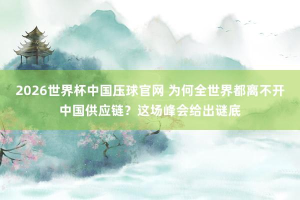 2026世界杯中国压球官网 为何全世界都离不开中国供应链？这场峰会给出谜底