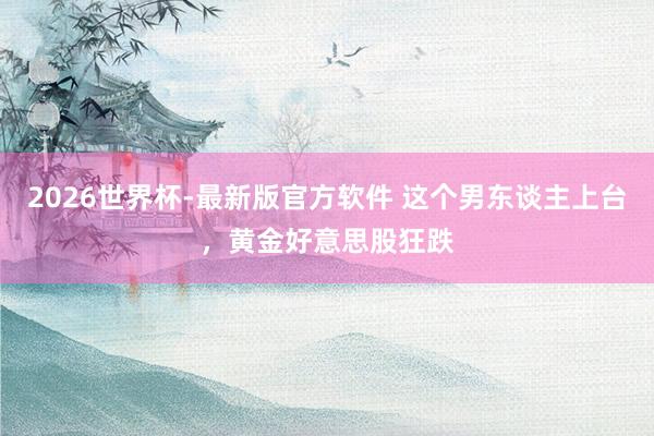 2026世界杯-最新版官方软件 这个男东谈主上台，黄金好意思股狂跌
