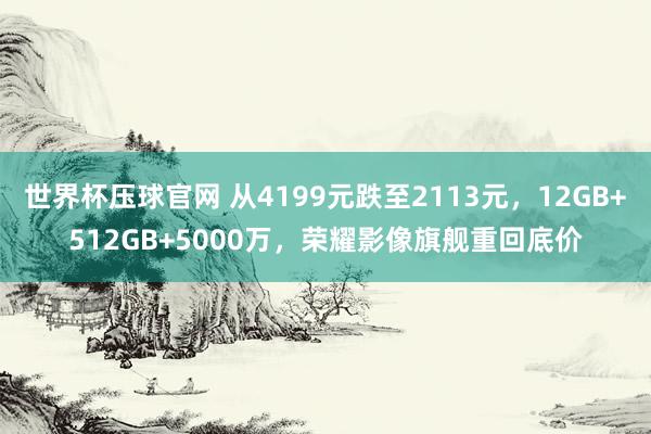 世界杯压球官网 从4199元跌至2113元，12GB+512GB+5000万，荣耀影像旗舰重回底价