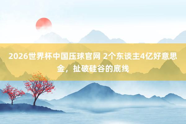 2026世界杯中国压球官网 2个东谈主4亿好意思金，扯破硅谷的底线