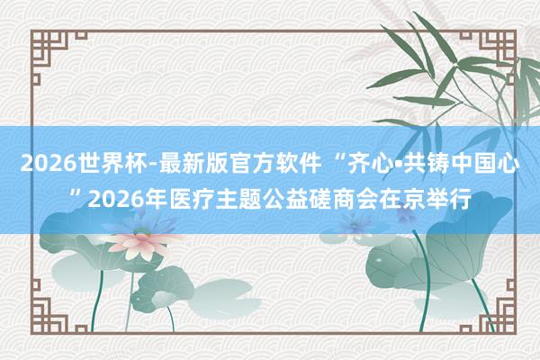 2026世界杯-最新版官方软件 “齐心•共铸中国心”2026年医疗主题公益磋商会在京举行