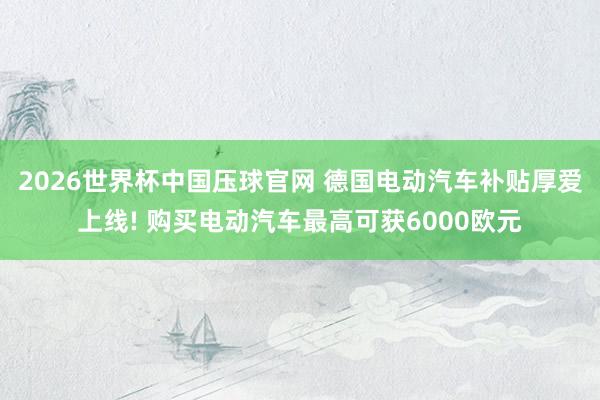 2026世界杯中国压球官网 德国电动汽车补贴厚爱上线! 购买电动汽车最高可获6000欧元