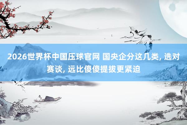 2026世界杯中国压球官网 国央企分这几类， 选对赛谈， 远比傻傻提拔更紧迫