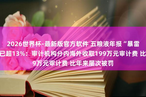 2026世界杯-最新版官方软件 五粮液年报“暴雷”后市值缩水已超13%：审计机构分内海外收取199万元审计费 比年来屡次被罚