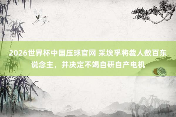 2026世界杯中国压球官网 采埃孚将裁人数百东说念主，并决定不竭自研自产电机