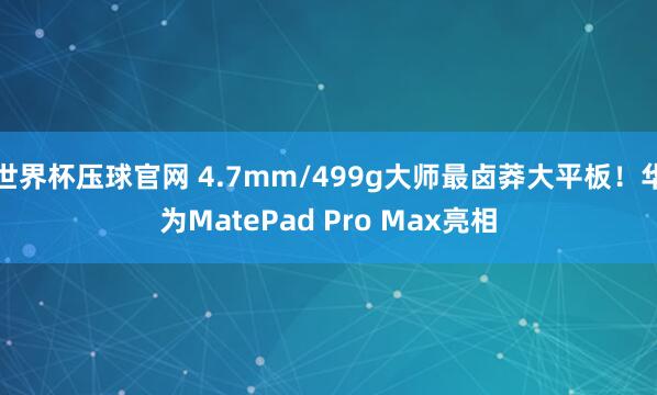 世界杯压球官网 4.7mm/499g大师最卤莽大平板！华为MatePad Pro Max亮相