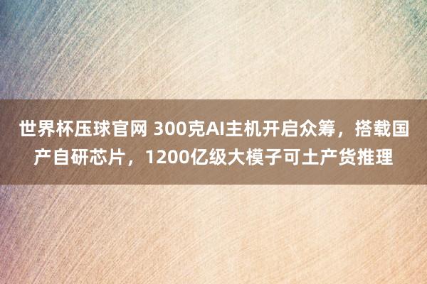 世界杯压球官网 300克AI主机开启众筹，搭载国产自研芯片，1200亿级大模子可土产货推理