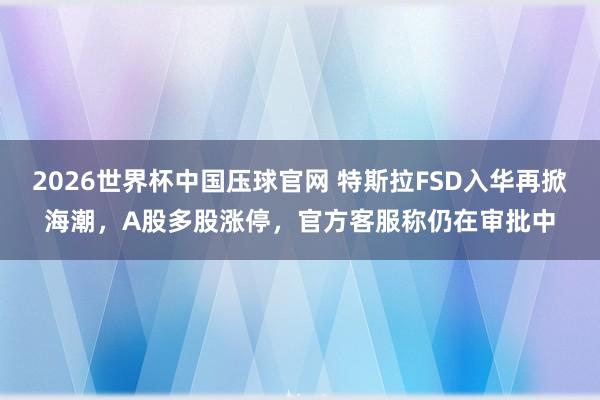 2026世界杯中国压球官网 特斯拉FSD入华再掀海潮，A股多股涨停，官方客服称仍在审批中