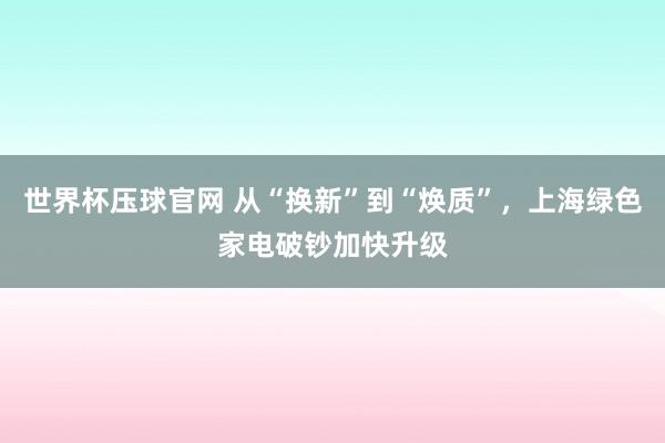 世界杯压球官网 从“换新”到“焕质”，上海绿色家电破钞加快升级