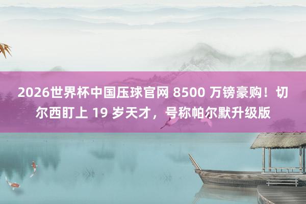 2026世界杯中国压球官网 8500 万镑豪购！切尔西盯上 19 岁天才，号称帕尔默升级版
