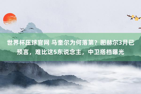 世界杯压球官网 马奎尔为何落第？图赫尔3月已预言，难比这5东说念主，中卫搭档曝光