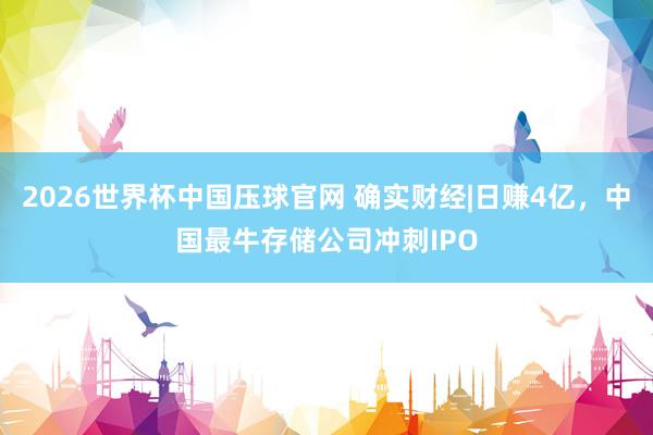 2026世界杯中国压球官网 确实财经|日赚4亿，中国最牛存储公司冲刺IPO