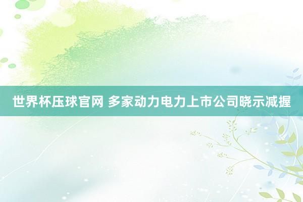 世界杯压球官网 多家动力电力上市公司晓示减握