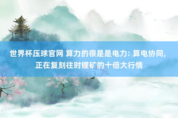 世界杯压球官网 算力的很是是电力: 算电协同， 正在复刻往时锂矿的十倍大行情