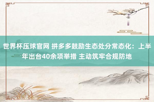世界杯压球官网 拼多多鼓励生态处分常态化：上半年出台40余项举措 主动筑牢合规防地