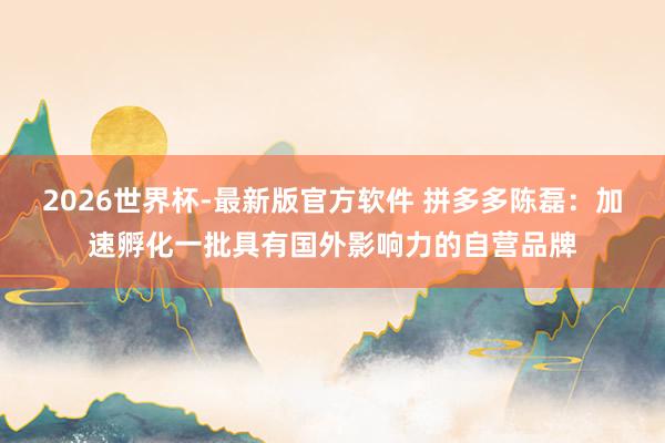 2026世界杯-最新版官方软件 拼多多陈磊：加速孵化一批具有国外影响力的自营品牌