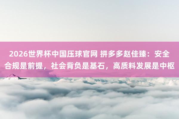 2026世界杯中国压球官网 拼多多赵佳臻：安全合规是前提，社会背负是基石，高质料发展是中枢