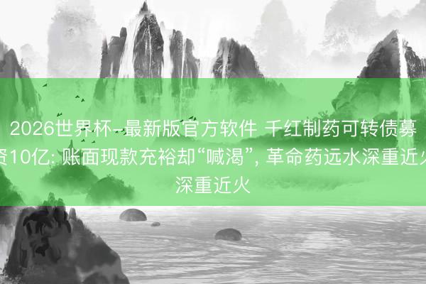 2026世界杯-最新版官方软件 千红制药可转债募资10亿: 账面现款充裕却“喊渴”， 革命药远水深重近火