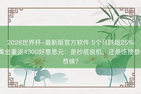 2026世界杯-最新版官方软件 5个月跌超25%!黄金重返4300好意思元:是抄底良机,还是连接恭候?
