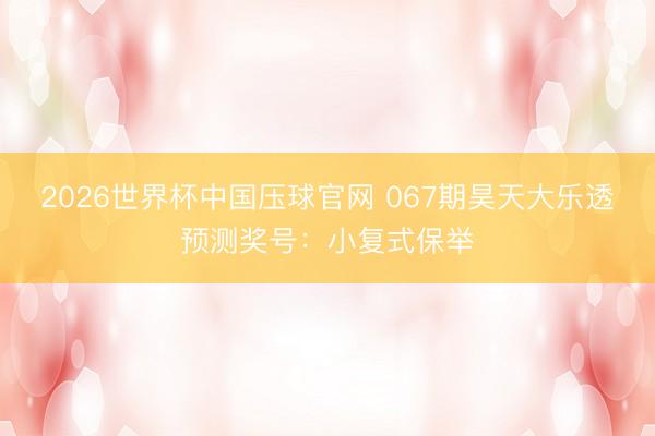 2026世界杯中国压球官网 067期昊天大乐透预测奖号：小复式保举